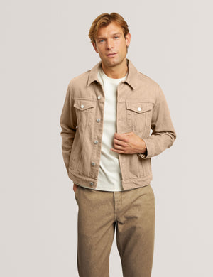 BRANDO | CHESTNUT