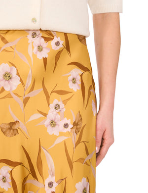 KASSINA | FRESH APRICOT