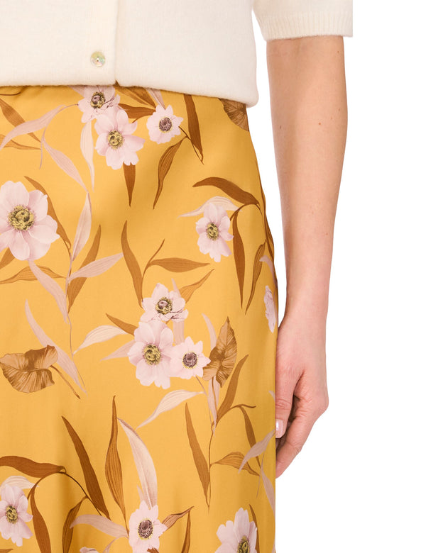 KASSINA | FRESH APRICOT