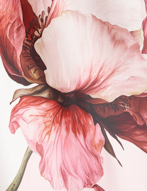 BROSA | PINK