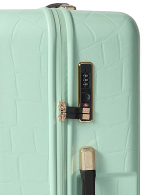 ICONCASE-MNTC | PALE GREEN