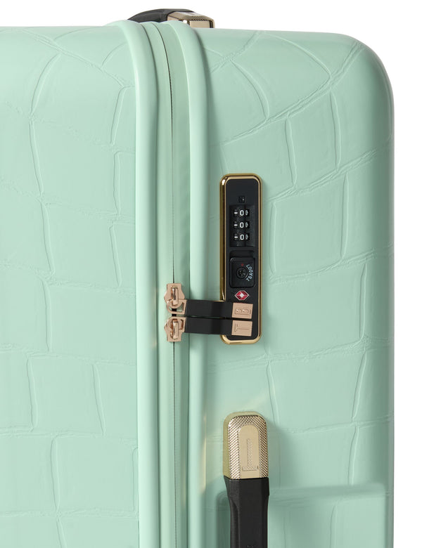ICONCASE-MNTC | PALE GREEN