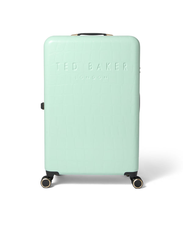 ICONCASE-MNTL | PALE GREEN