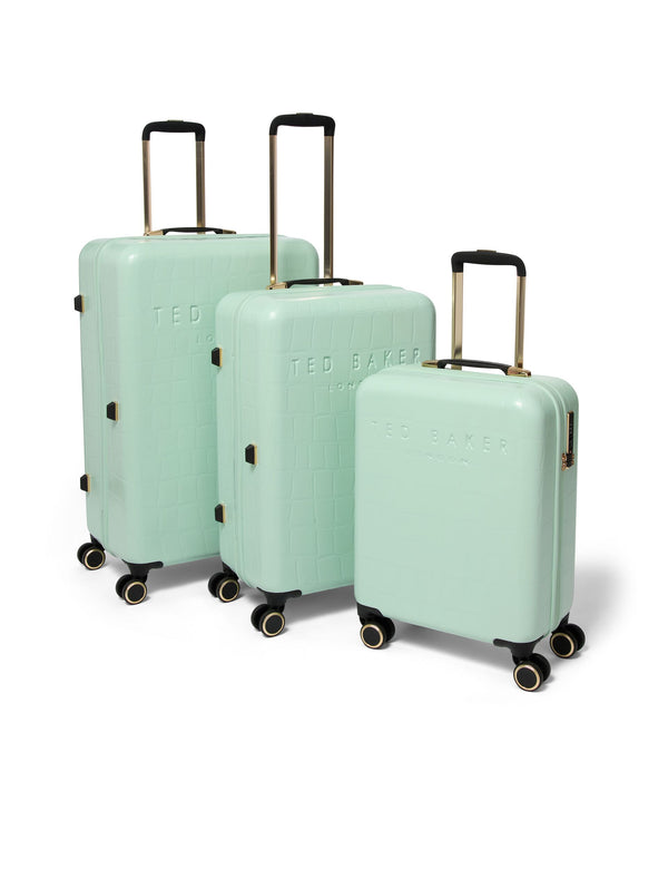 ICONCASE-MNTL | PALE GREEN