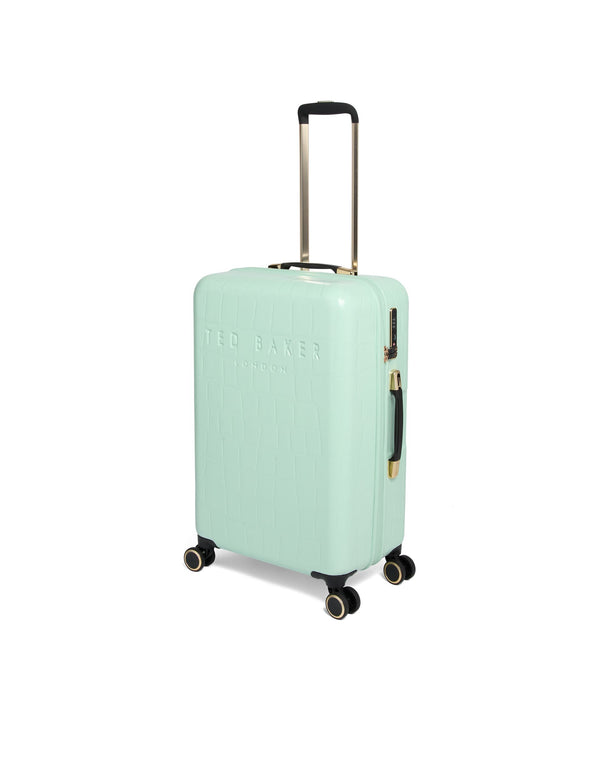 ICONCASE-MNTM | PALE GREEN