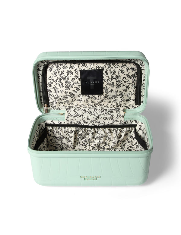 ICONCASE-MNTV | PALE GREEN