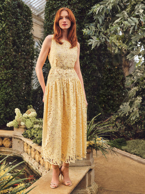 Ted Baker Lace Sleeveless Drop Waist Midi Dress