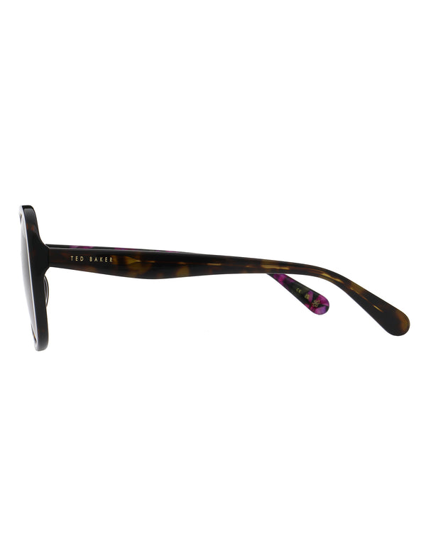 EMILIACT | TORTOISESHELL